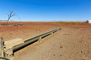 1571997-376cfc4f940347a09a982a886fd361a3-w640