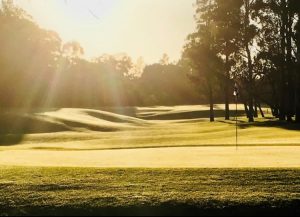 12th hole The Grange