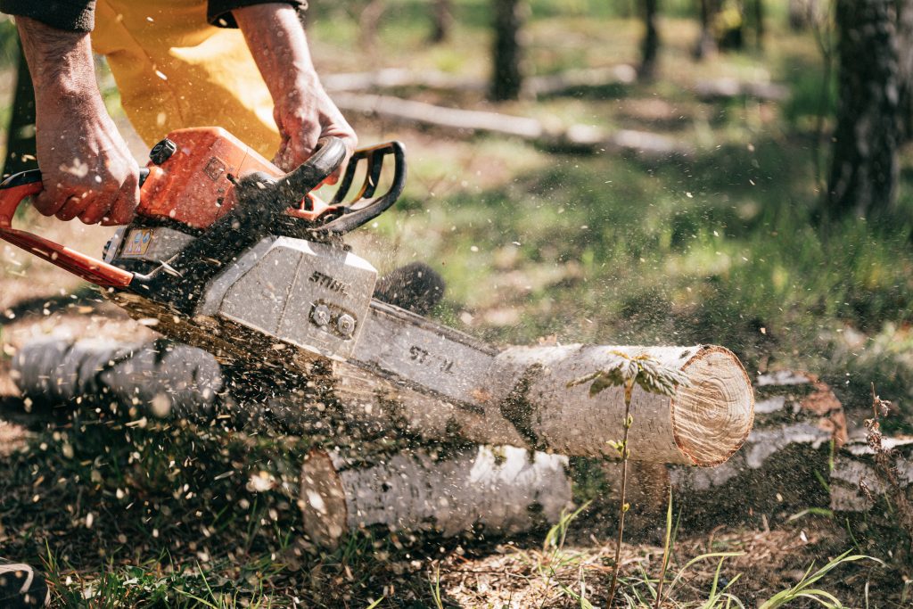 epar chainsaw